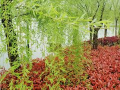-南翔镇银翔湖公园
