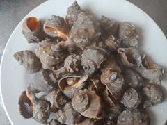 -宾朋海鲜特色美食餐厅·纯手工鲅鱼水饺(兴海路店)