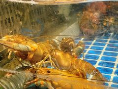 -争先鲜·蒸汽海鲜自助·鲜切牛肉