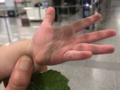 -北大街(地铁站)