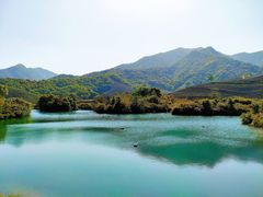 -龙坞茶村
