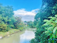 -上海海湾国家森林公园