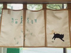 -猫里有甜