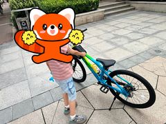 -道路口单车爱瓦士dahon大行