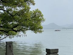 -西湖外事游船(花港观鱼码头)