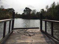 -溱湖国家湿地公园