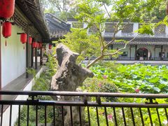 -上海醉白池公园