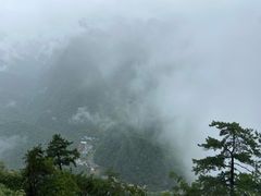 -陕西省红河谷森林公园