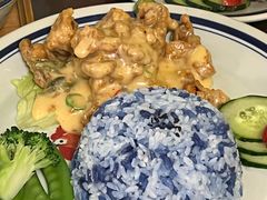 -马来MO简餐.南洋风味料理(美食街店)
