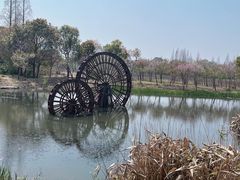 -长田漾湿地公园