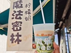 -猫的魔法密林(衣裳街店)