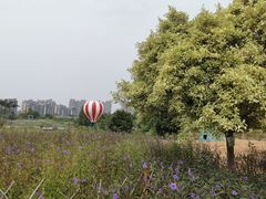 -南沙蒲洲花园