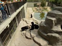 -石家庄市动物园