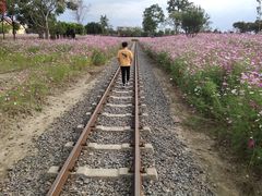 -歌斐颂巧克力小镇