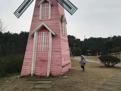 -铁山坪森林公园