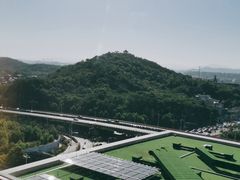 -白金汉爵大酒店-24小时餐厅