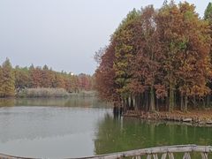 -厦门园林博览苑