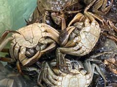 -港畔赶海蒸汽海鲜烧烤自助(仙螺岛店)