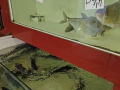 -西江河鲜·趣苑酒楼(鼎湖牌坊店)