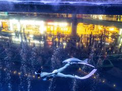 -成都浩海立方海洋公园