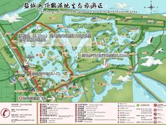 -盐城丹顶鹤湿地生态旅游区