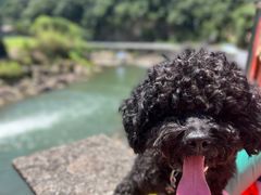 -安吉龙王山峡谷漂流