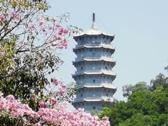 -深圳国际园林花卉博览园