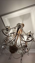 -蕾蕾美颜美容美体