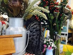 -小时光咖啡馆(北锣鼓巷店)