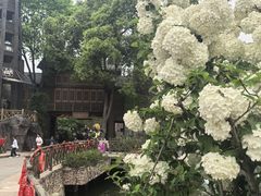 -成都欢乐谷