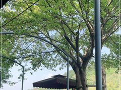 -两江国际影视城