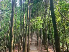 -广州市帽峰山景区