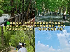 -老鼎万春卤菜(五代传承创始老店)