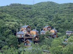 -杭州开元森泊度假乐园