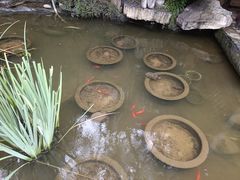 -聚缘堂·海鲜私房菜(松岭路店)