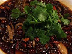 -华豫川酒家(大卫城店)