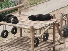 -大连森林动物园