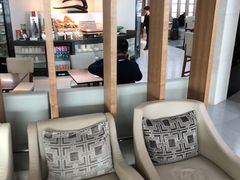 -虹桥机场国航贵宾室v8