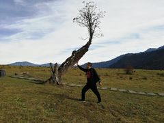 -硗碛藏寨·神木垒景区