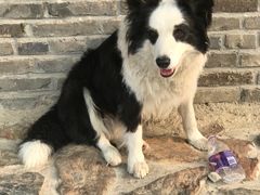 -清风小镇闯关东影视基地