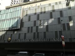 -新加坡乌节希尔顿酒店 (SG Clean)