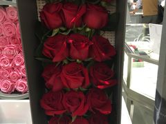 -ROSEONLY诺誓(青岛万象城店)