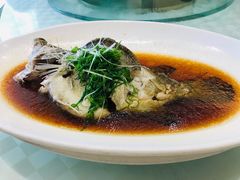 -顺风海鲜港(长寿路店)