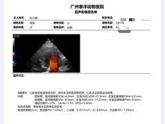-泰洋动物医院·神经专科·磁共振·CT(天河公园总院)