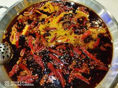 牛油麻辣锅底-之了火锅(公园街店)
