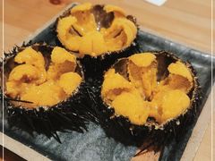 -海胆小馆(东北水饺·春柳店)