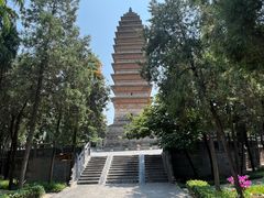 -洛阳白马寺