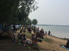 -丁香湖公园