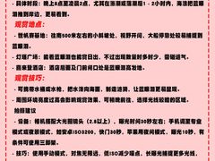 -日照海滨国家森林公园