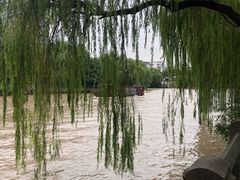 -运河游船(武林门码头)